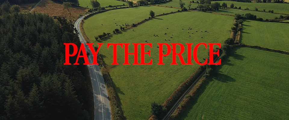 Aerial view of green Irish fields and a winding road, with the title Pay the Price in red